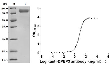 CSB-MP007125HU Validated Data