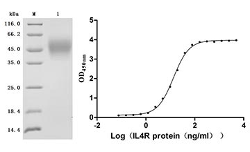 CSB-MP011661HU2-B Validated Data