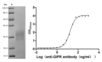 CSB-MP023412HU Validated Data