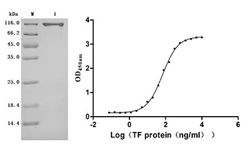 CSB-MP023412HU Validated Data