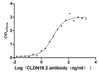 CSB-MP005498HU(A5) Activity Verified