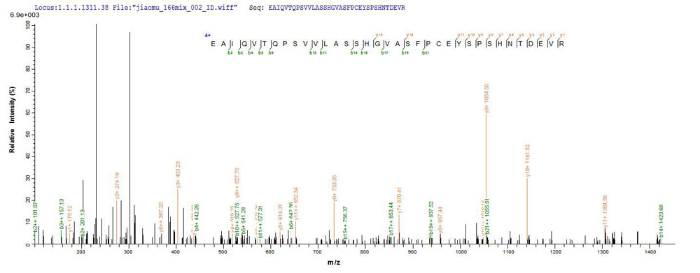 Protein Mass Spectrometry Identification 01