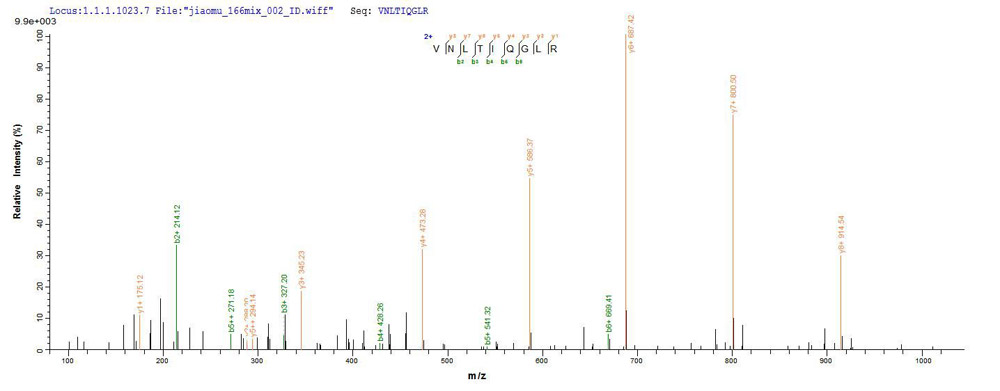 Protein Mass Spectrometry Identification 02