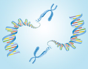 ELISA Kits for Epigenetics Research
