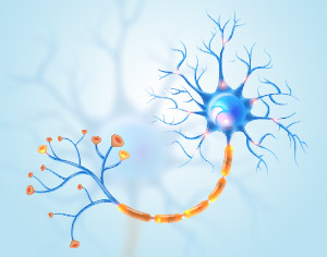 Neuroscience Research