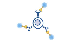 Single B Cell Antibody Discovery