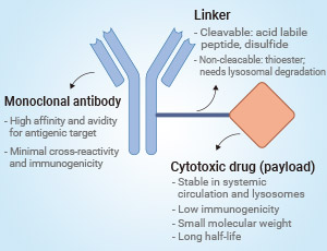 ADC Development Solutions