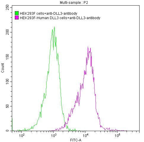 CSB-SC613267HU2 FACS