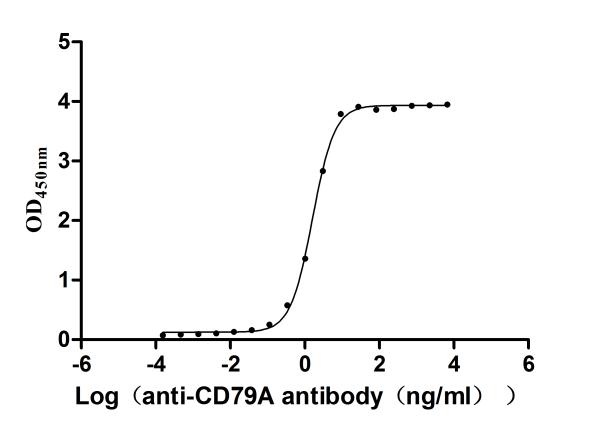 CSB-MP004957HU1 Activity Verified