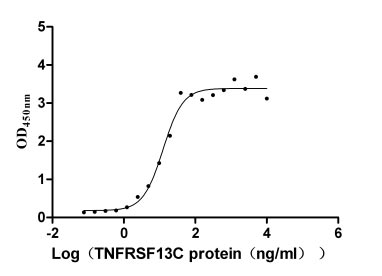 CSB-MP853495HU1 Activity Verified