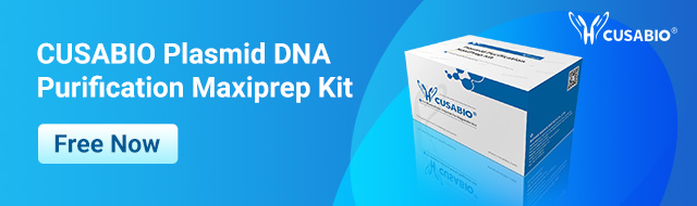 Free Trial of CUSABIO Plasmid DNA Purification Maxiprep Kit