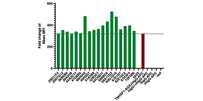 FACS screening of supernatants after subcloning