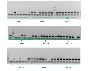 High positivity rate