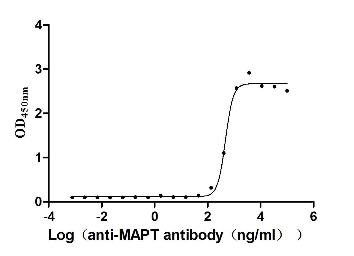 CSB-MP013481MO Activity Verified