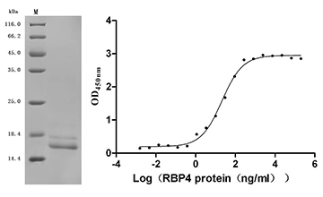 CSB-MP025270MO Validated Data