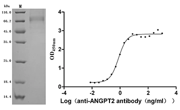 CSB-MP004956HU1(F2) Validated Data