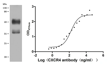 CSB-MP006254HU(F1) Validated Data