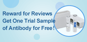  Free trial size antibodies